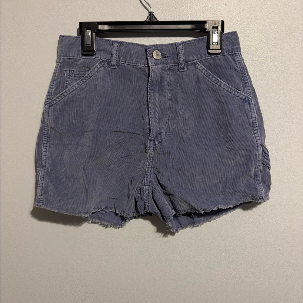 American Eagle Outfitters Blue Cargo Shorts